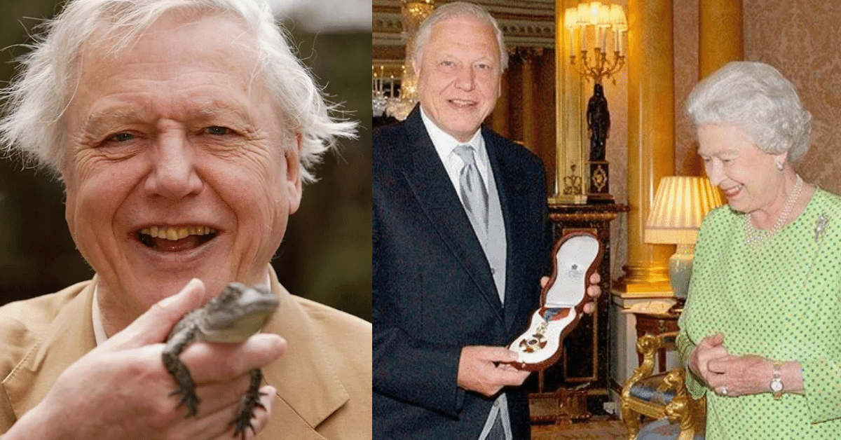 15 Fascinating Facts About SIR DAVID ATTENBOROUGH